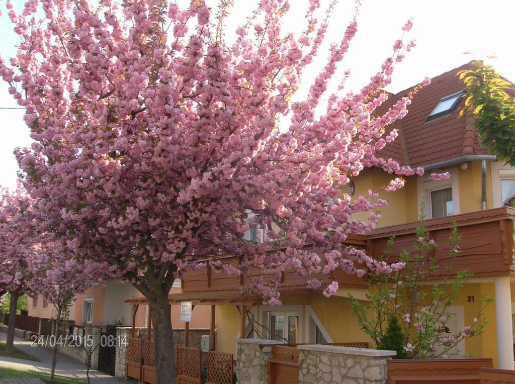 Zsuzsanna Ház Hotel Hévíz Exterior foto